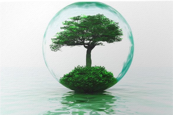 arbre dans bulle