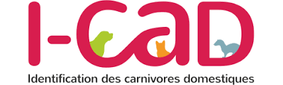 logo I CAD