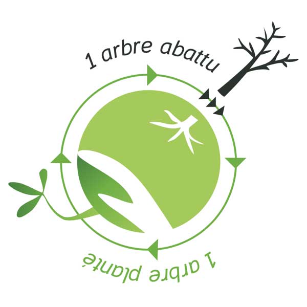 arbre abattu replanté