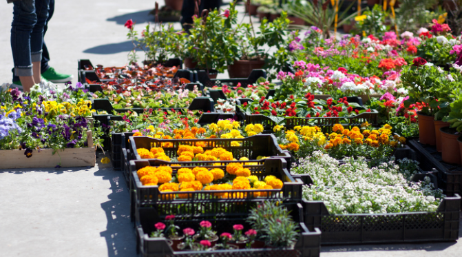 etal fleurs